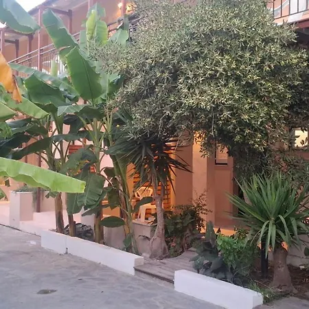 Amelia's Garden ιι