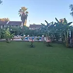 Amelia's Garden ιι