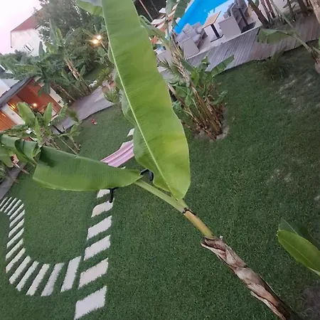Amelia's Garden ιι Kavos